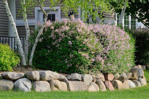 Retaining wall repair service Ajax